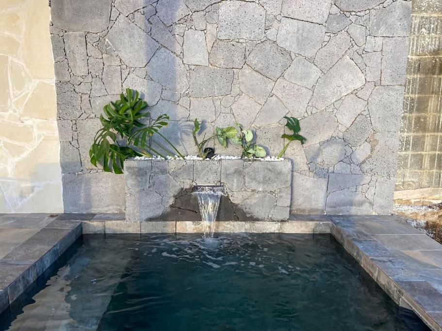 Cocoon Love Avec Piscine Privative Saint-Louis Luaran gambar
