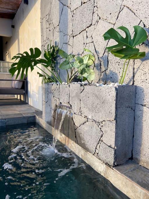 Cocoon Love Avec Piscine Privative Saint-Louis Luaran gambar